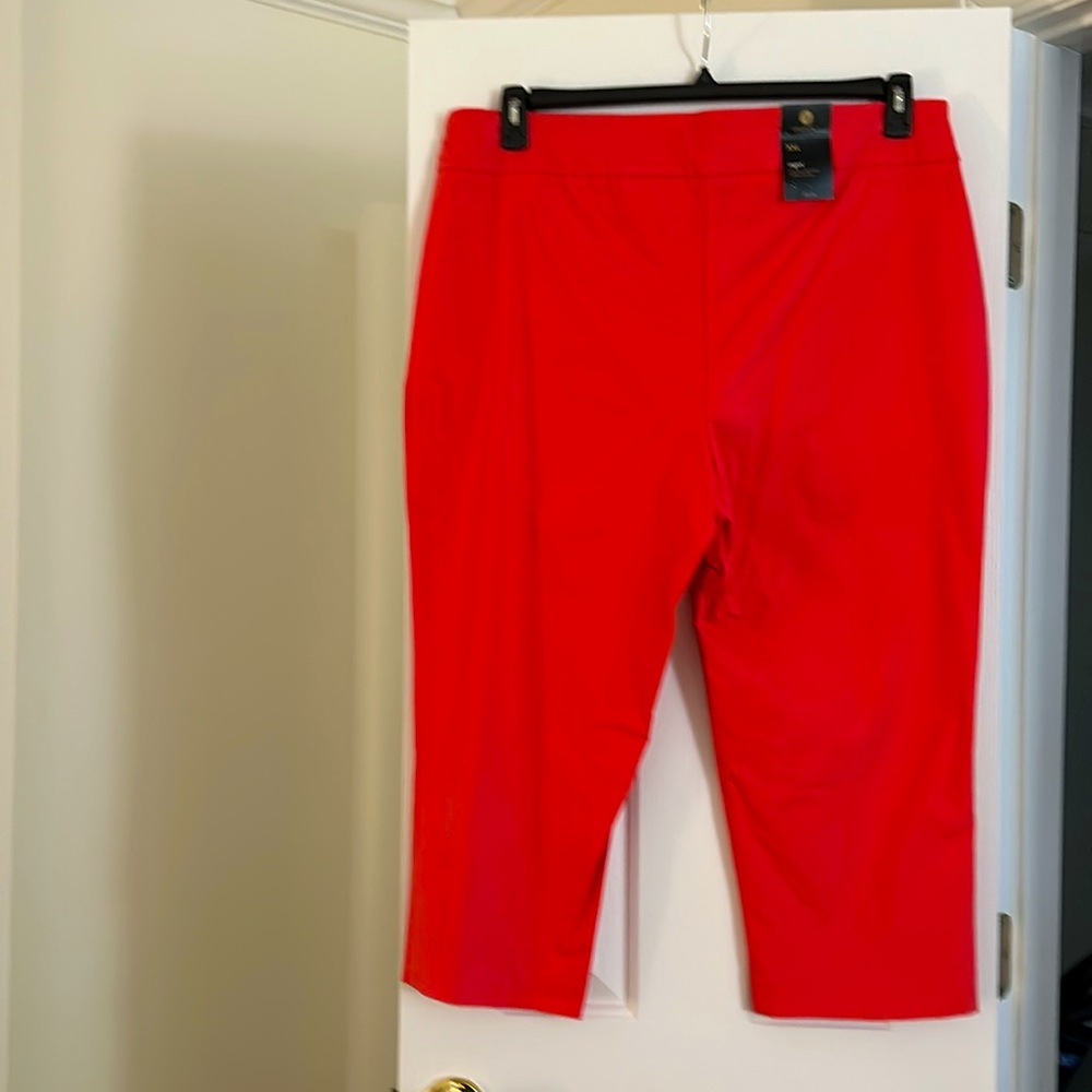 Pants - Picture 2 of 5